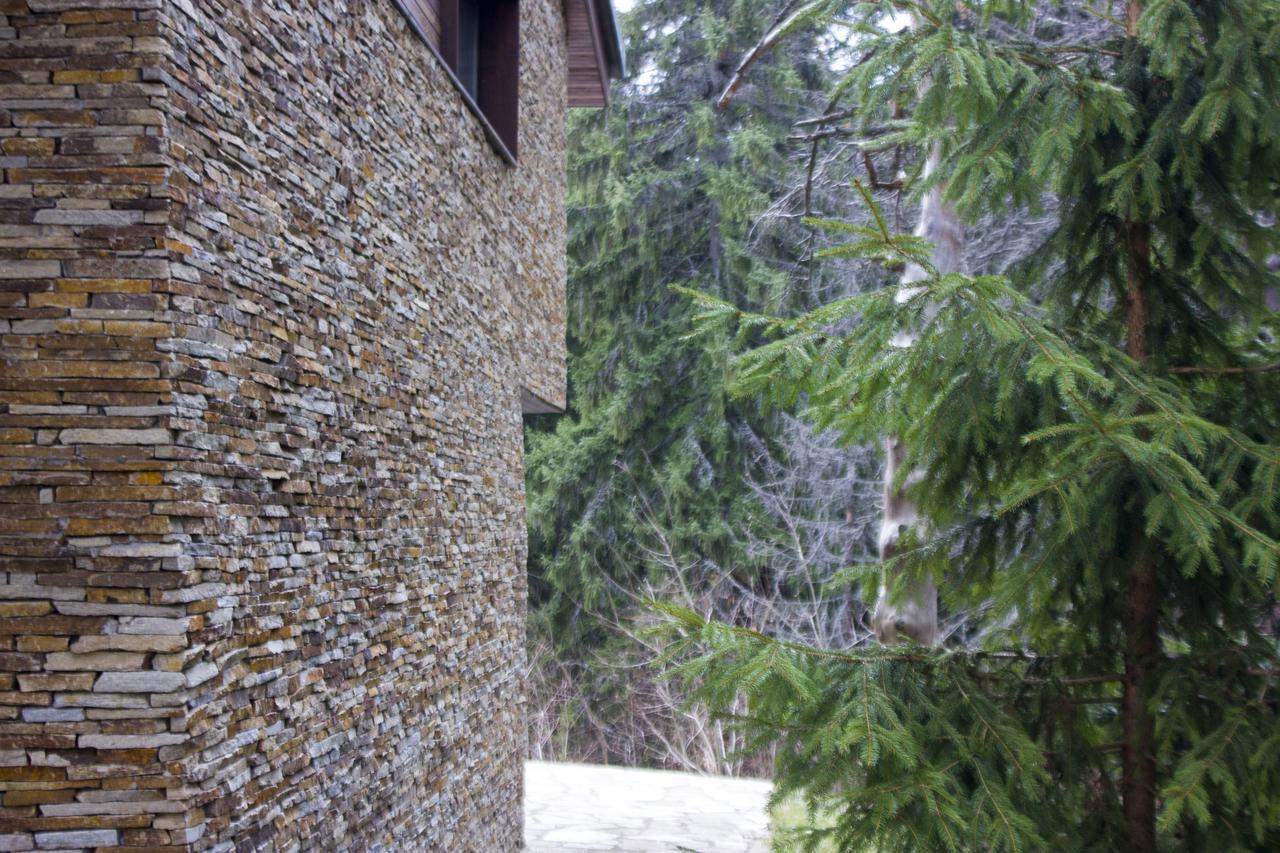 Borovets Chalets Екстериор снимка
